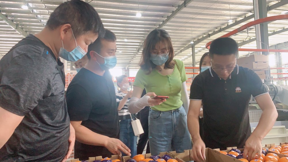 云博集团- 霍芬海姆启用AI训练系统实时分析球员跑动数据